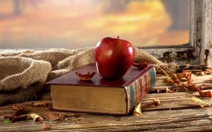 Old book, red apple, desk, window, dry leaves wallpaper thumb