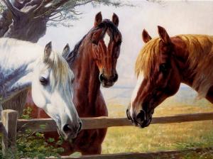 3-horses paint Animals hoses nice painting HD wallpaper thumb