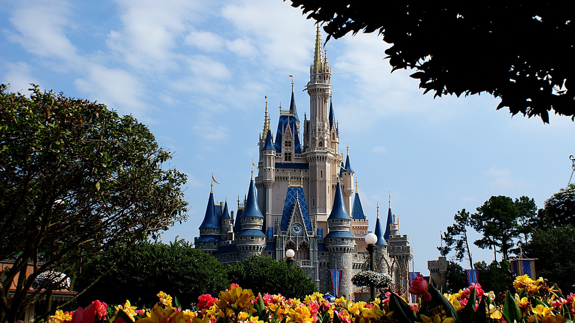 Hd S Of Disney World Wallpaper Creative And Fantasy Wallpaper Better