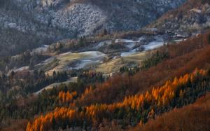 Landscape, Nature, Forest, Village, Mountain, Fall, Frost, Morning wallpaper thumb