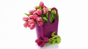 Purple fresh tulips, bouquet flowers, white background wallpaper thumb