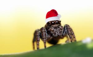 Santa-spider wallpaper thumb