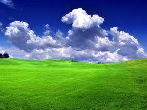 Grass Field Green  Background Picture wallpaper thumb