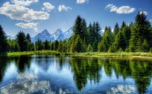 Lake Trees Forest Reflection HDR HD wallpaper thumb