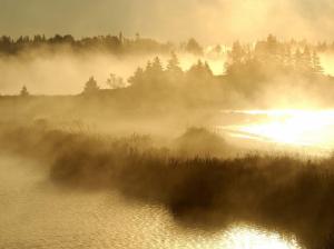 Landscapes Sunrise Fog Mist Sunlight Reflection Trees Islands Free Desktop wallpaper thumb
