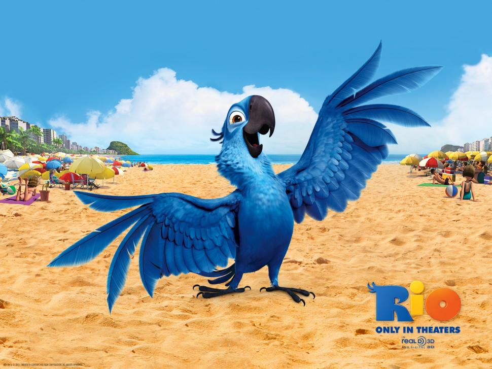 Blu Bird in Rio wallpaper,bird wallpaper,1600x1200 wallpaper