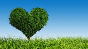 Green love heart tree, grass wallpaper thumb