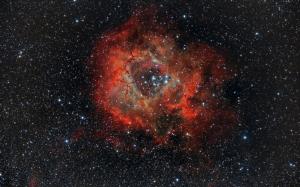 Beautiful nebula, rosette, NGC 2237, space, stars wallpaper thumb