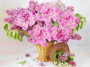 Pink flowers, basket, peonies, lilac wallpaper thumb