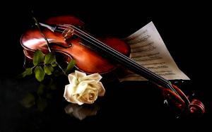 just music beautiful beauty black background crazy divine Enchantment flowers life Love lovely magic HD wallpaper thumb