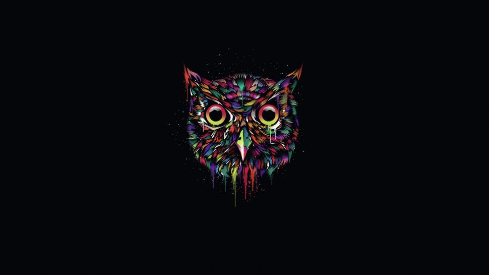Colorful owl, creative design, black background wallpaper | creative and  fantasy | Wallpaper Better