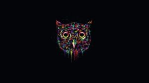 Colorful owl, creative design, black background wallpaper thumb
