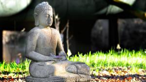 Buddha Profound Meditation wallpaper thumb