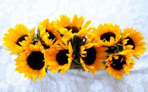 *** Bouquet Of Sunflowers *** wallpaper thumb