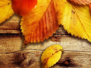Autumn Yellow Leaves wallpaper thumb