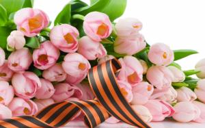 Pink tulip flowers and ribbon wallpaper thumb