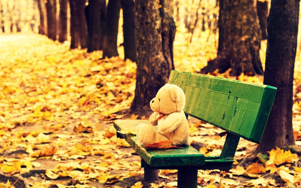 Teddy bear, toy, bench, yellow leaves, autumn wallpaper,Teddy HD wallpaper,Bear HD wallpaper,Toy HD wallpaper,Bench HD wallpaper,Yellow HD wallpaper,Leaves HD wallpaper,Autumn HD wallpaper,2560x1600 wallpaper