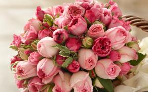 flowers, roses, pink, bouquet wallpaper thumb