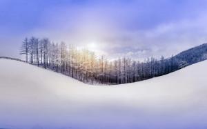 Nature winter, forest, snow, hill, sky, sun rays wallpaper thumb