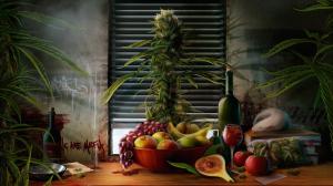 Fruits and Wine wallpaper thumb