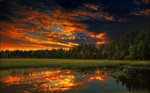 Sunset Trees Reflection Clouds HD wallpaper thumb