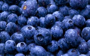 Nature Fruits Food Water Drops Berries Blueberries Picture Gallery wallpaper thumb