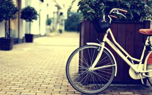Bicycle with basket wallpaper thumb