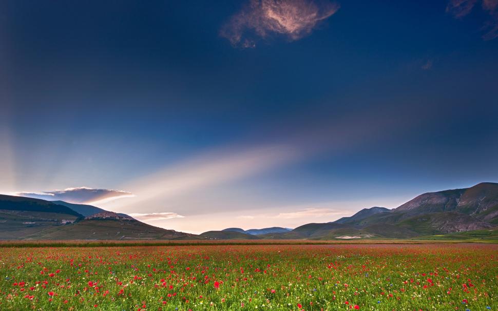Italy, Umbria, poppies field, sky, clouds, mountains wallpaper,Italy HD wallpaper,Umbria HD wallpaper,Poppies HD wallpaper,Field HD wallpaper,Sky HD wallpaper,Clouds HD wallpaper,Mountains HD wallpaper,1920x1200 wallpaper