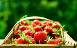 Red strawberry, fresh fruit, basket, light wallpaper thumb