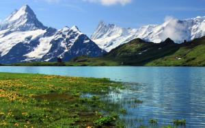 Switzerland, Bern, nature scenery, snowy mountains, river, grass, flowers wallpaper thumb