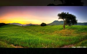 Sunset Landscapes Nature Fields Hdr Photography Photo Manipulation Mediterranean Desktop Backgrounds wallpaper thumb
