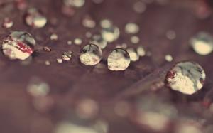 Water Drops Macro Blur HD wallpaper thumb