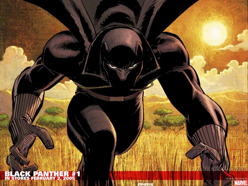 Black Panther HD wallpaper,black wallpaper,comics wallpaper,panther wallpaper,1280x960 wallpaper