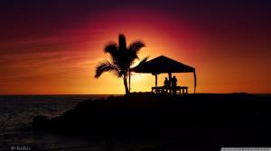 Nature Sun Silhouettes Summer Palm Trees Huts Sea Beaches For Android wallpaper thumb