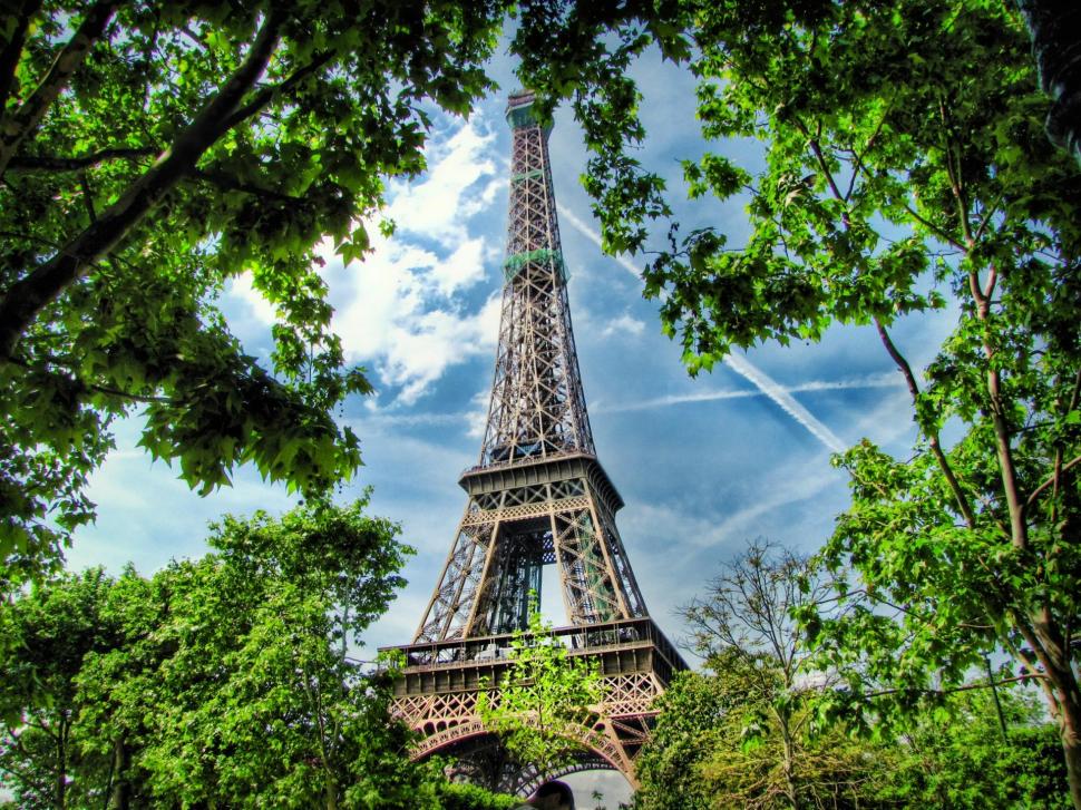 Tour D'eiffel Because Of Trees wallpaper,eiffel HD wallpaper,trees HD wallpaper,paris HD wallpaper,france HD wallpaper,tour HD wallpaper,animals HD wallpaper,1920x1440 wallpaper