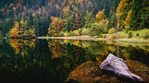 Forest Reflection Trees Lake HD wallpaper thumb