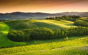 Italy, Tuscany, countryside, green nature, trees, fields, sky wallpaper thumb