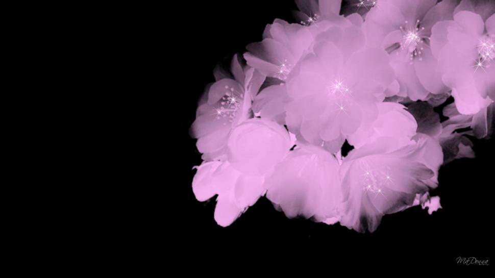 Sparkle Blossoms wallpaper,flower HD wallpaper,firefox persona HD wallpaper,widescreen HD wallpaper,pink HD wallpaper,3d & abstract HD wallpaper,1920x1080 wallpaper