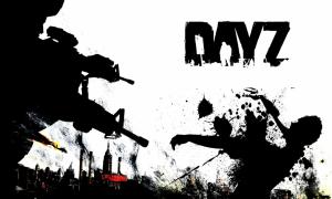 dayz, day z, zombie, arma 2, weapons, survival, zombie wallpaper thumb
