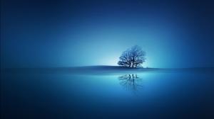 Trees, Reflection, Blue, Nature wallpaper thumb