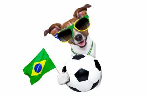fifa world cup, brazil, 2014, dog, ball wallpaper thumb