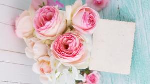 Pink rose flowers, bouquet, wood board wallpaper thumb