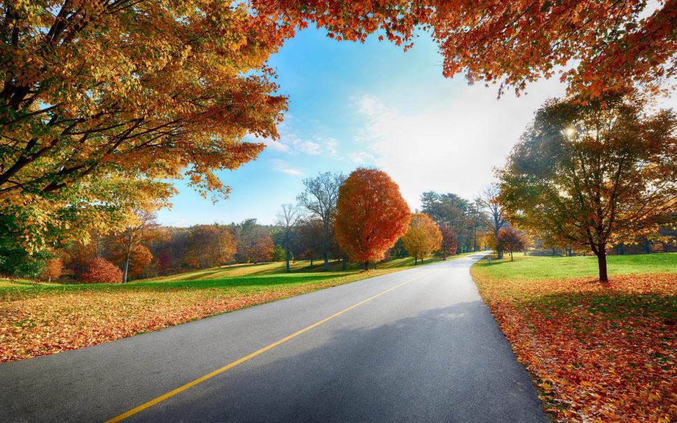 Country road in the fall wallpaper,world HD wallpaper,1920x1200 HD wallpaper,tree HD wallpaper,road HD wallpaper,autumn HD wallpaper,fall HD wallpaper,1920x1200 wallpaper