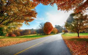Country road in the fall wallpaper thumb