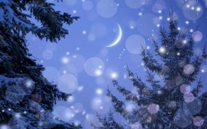 Winter, moon, night, trees, snow, glare wallpaper thumb