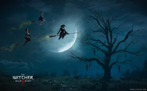 The Witcher 3 Wild Hunt Witches wallpaper thumb