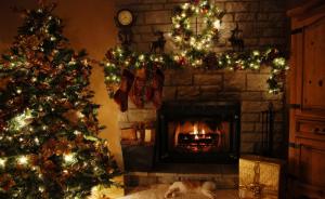tree, christmas, holiday, fireplace, garland, cat, gifts, fire wallpaper thumb
