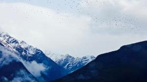 Mountains, snow, clouds, birds flying wallpaper thumb