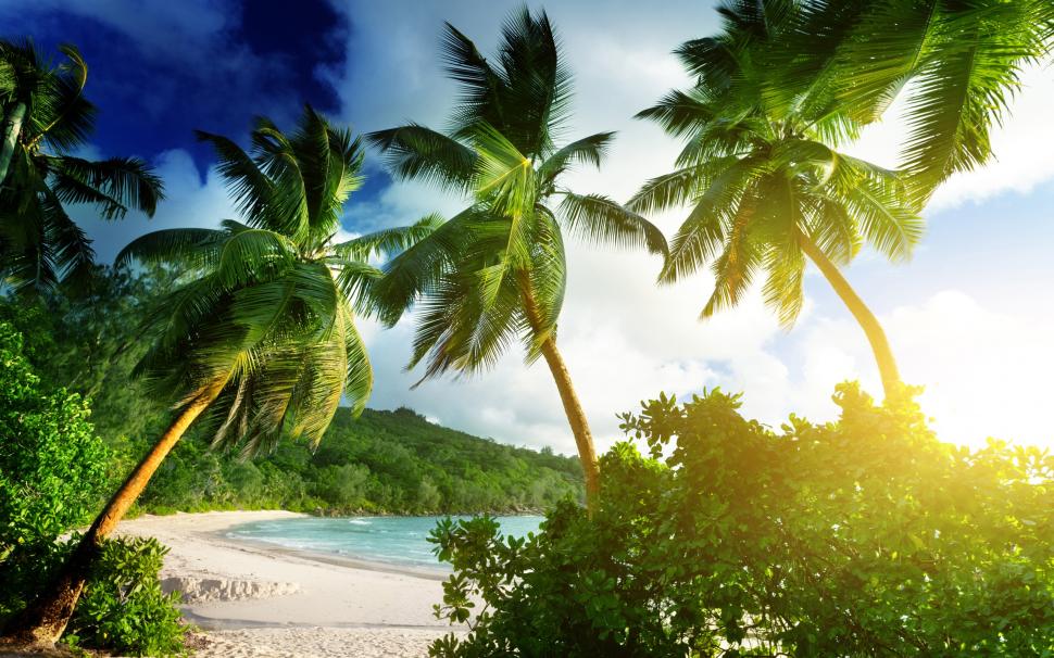 Seychelles, Mahe island, Takamaka beach, tropical, palms, sea, sunshine ...