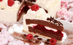 Cake, slice, berry, raspberry, cream, chocolate, dessert wallpaper thumb
